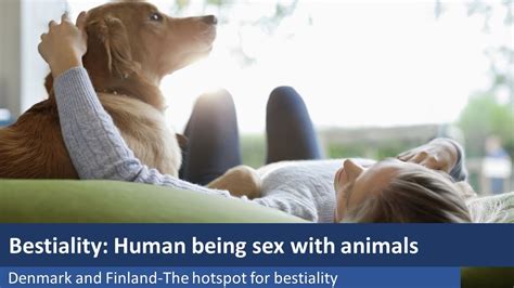 Newest Bestiality Videos .